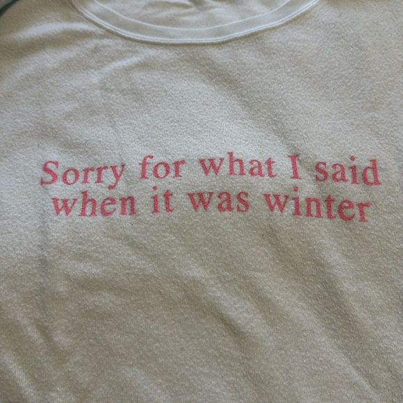 Wildfox blue “Sorry for what I said when it was winter” sweatshirt top M - Picture 4 of 9